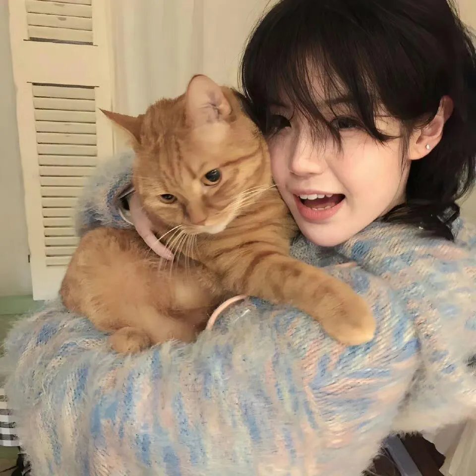 风流浪子美人心